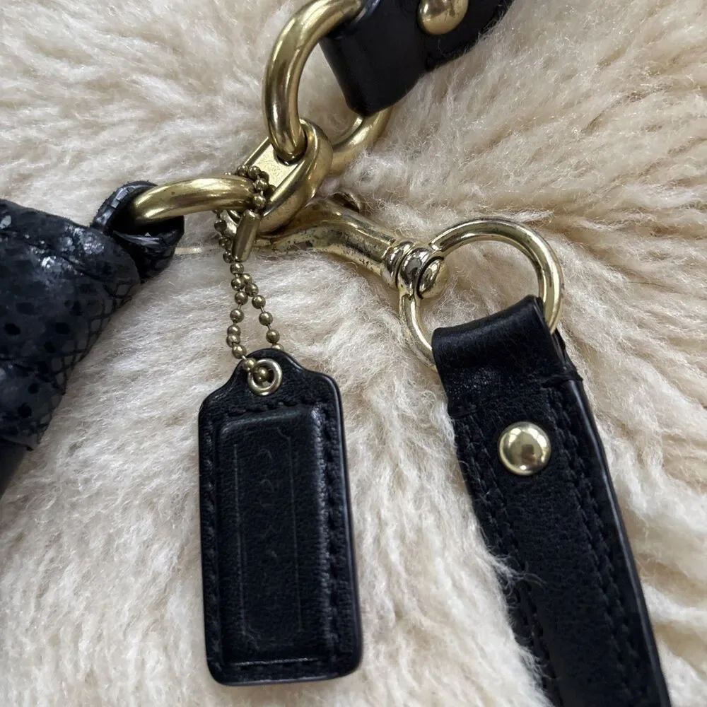 Coach beautiful bag